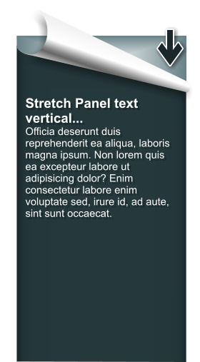 Stretch Panel text vertical... Officia deserunt duis reprehenderit ea aliqua, laboris magna ipsum. Non lorem quis ea excepteur labore ut adipisicing dolor? Enim consectetur labore enim voluptate sed, irure id, ad aute, sint sunt occaecat.